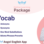 Vocab Package
